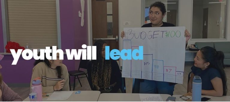Youth Will LEAD Fellowship 2026 Application: Complete Guide for Applicants