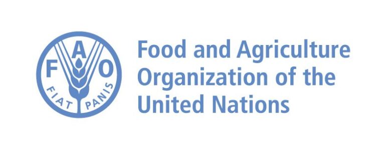 FAO Young Professionals Programme 2026: Apply for International Career Opportunities