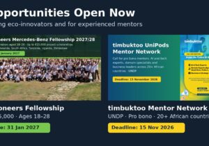 beVisioneers Mercedes-Benz Fellowship and timbuktoo UniPods Mentor Network, open now