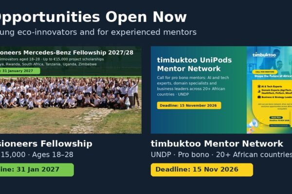 beVisioneers Mercedes-Benz Fellowship and timbuktoo UniPods Mentor Network, open now