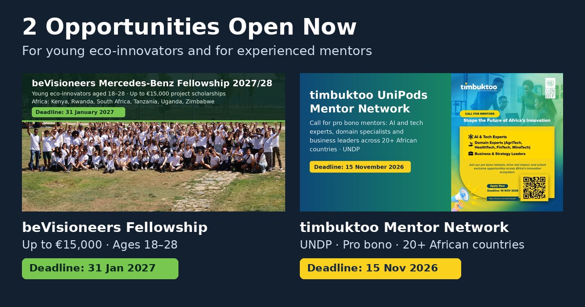 beVisioneers Mercedes-Benz Fellowship and timbuktoo UniPods Mentor Network, open now