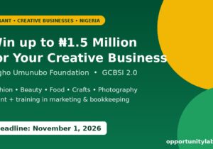 Fegho Umunubo Foundation GCBSI 2.0 grant of up to 1.5 million naira for creative businesses in Nigeria, deadline November 1, 2026