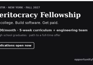 Palantir Meritocracy Fellowship 2027: paid fellowship for high school graduates in New York, $5,400 per month
