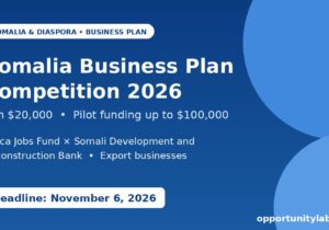 Africa Jobs Fund and SDRB Somalia Business Plan Competition 2026, win $20,000 with pilot funding up to $100,000, deadline November 6, 2026