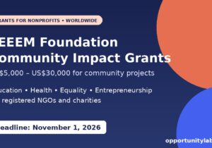 TEEEM Foundation Community Impact Grants 2026 of US$5,000 to US$30,000 for nonprofits worldwide, deadline November 1, 2026